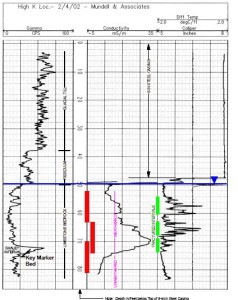 Downhole geophysical log