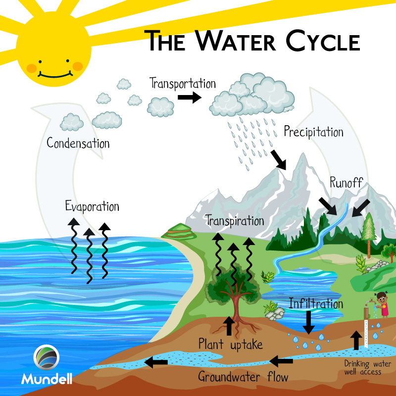 Ground Water Cycle Diagram